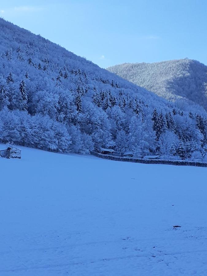 Pensiunea Natura Sadu Sibiu Exterior foto
