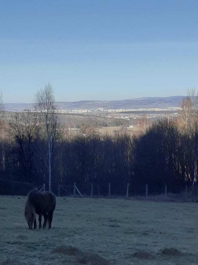 Pensiunea Natura Sadu Sibiu Exterior foto
