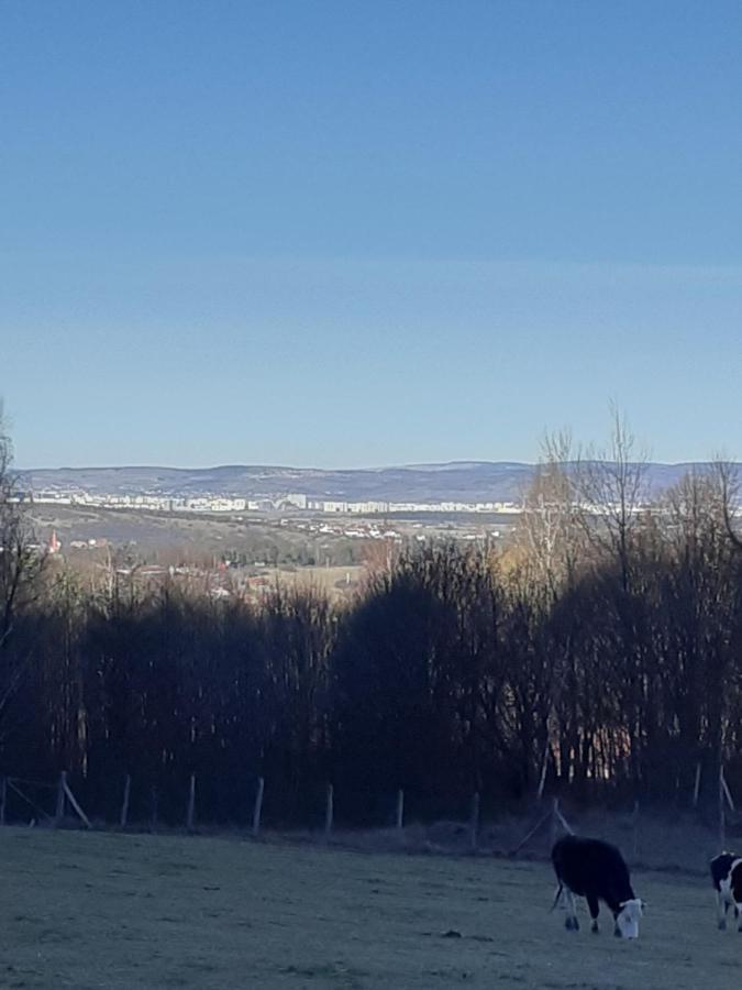 Pensiunea Natura Sadu Sibiu Exterior foto