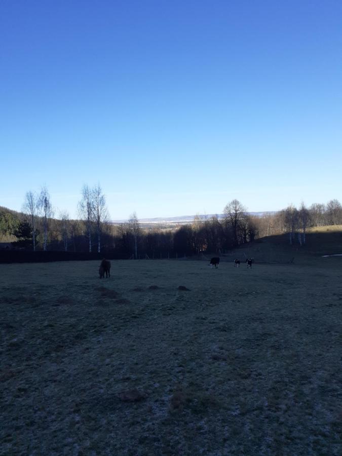 Pensiunea Natura Sadu Sibiu Exterior foto