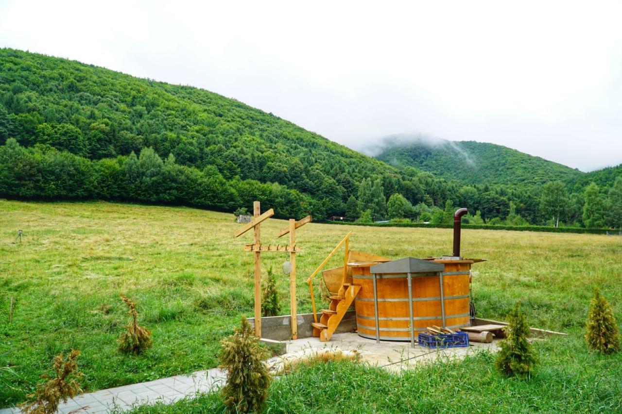 Pensiunea Natura Sadu Sibiu Exterior foto