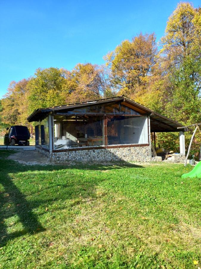 Pensiunea Natura Sadu Sibiu Exterior foto