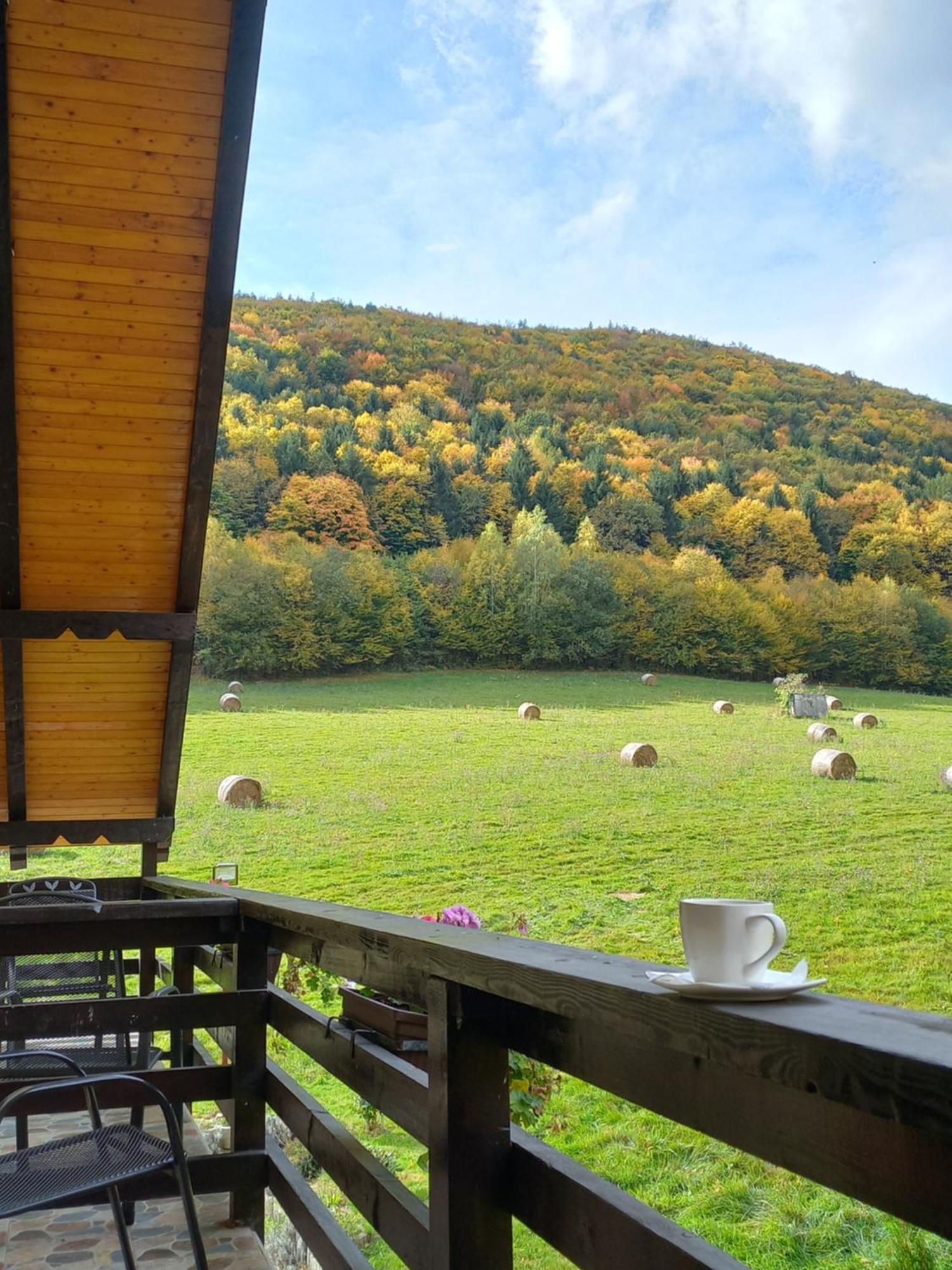 Pensiunea Natura Sadu Sibiu Exterior foto