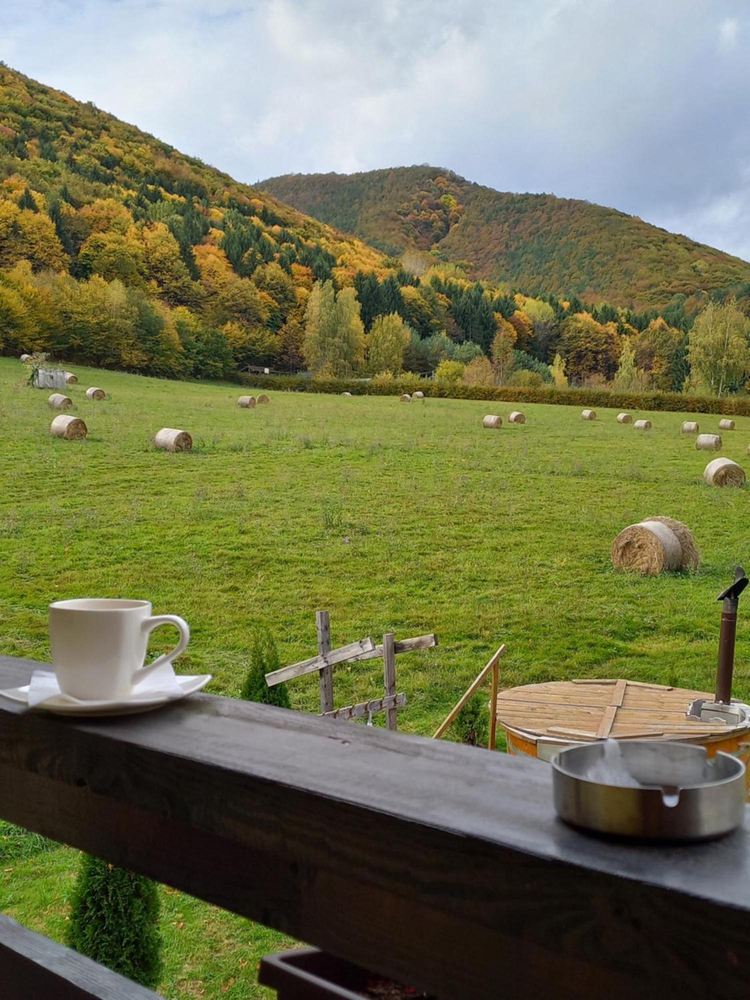 Pensiunea Natura Sadu Sibiu Exterior foto
