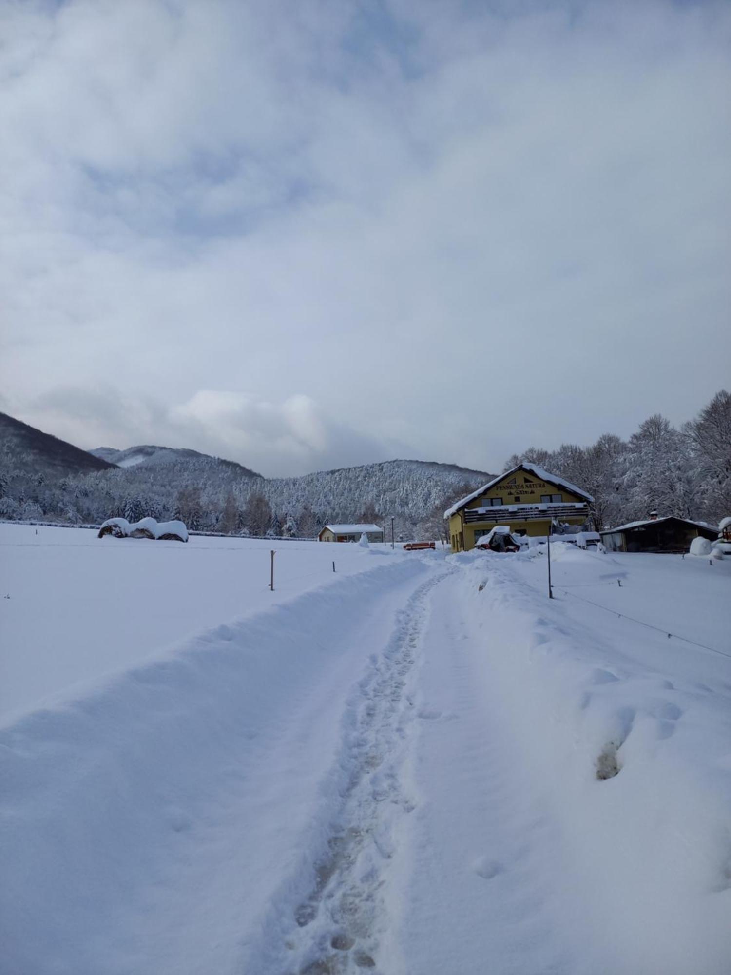 Pensiunea Natura Sadu Sibiu Exterior foto