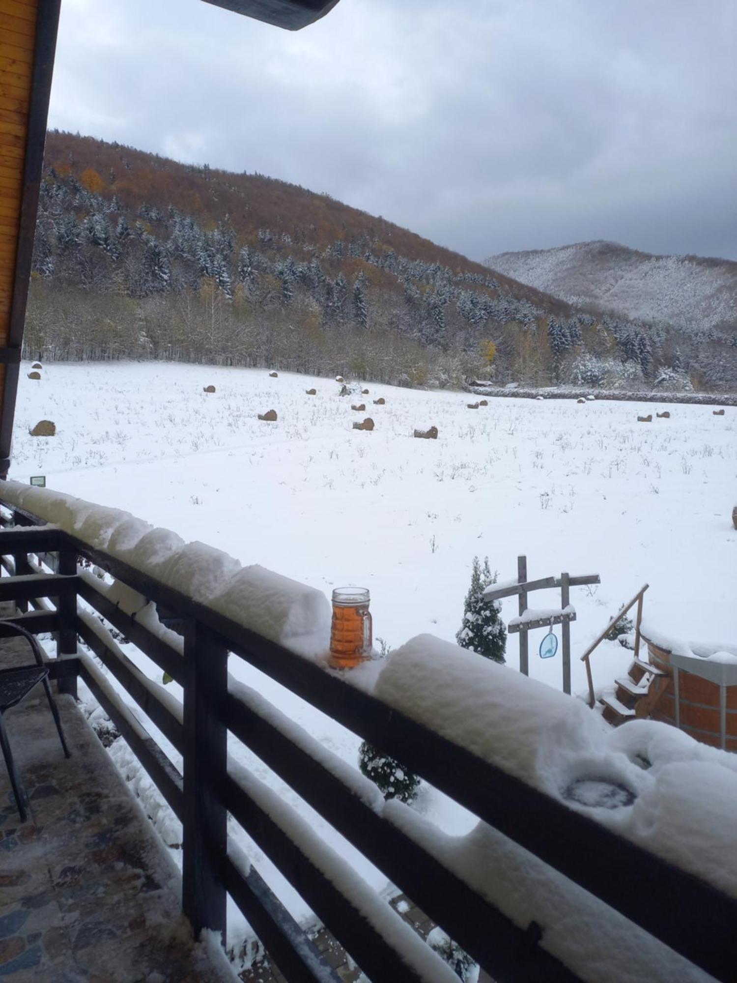 Pensiunea Natura Sadu Sibiu Exterior foto